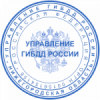 1699009753007.png
