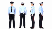 266.png