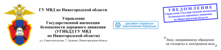 aIYY1 (2).png