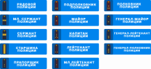 генерал-лейтенант Полиции.png