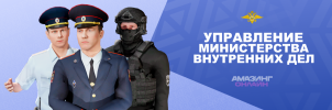 УМВД.png