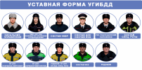 Уставная форма УГИБДД.png