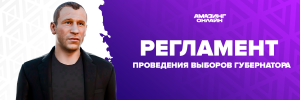 Регламент проведения выборов.png