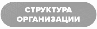 Struktura_organizatsii.png