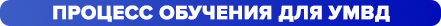 процесс обучения для УМВД.png