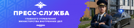 ПС ГУ МВД.png ПС ГУ МВД.png