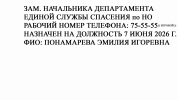 ЭМИЛЬ.png