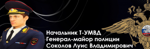 луис итог.png