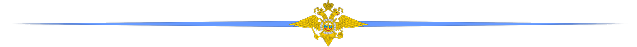 полоска.png