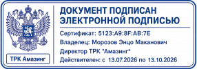 Энцо подпись (1) (3).png