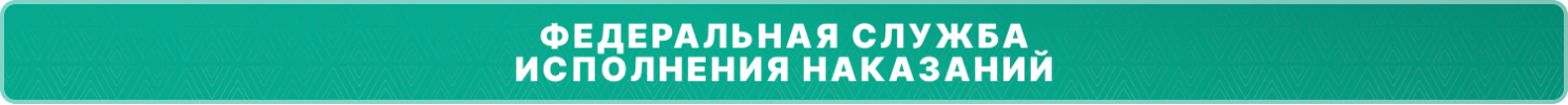 фсин.png