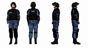 fsin1.png