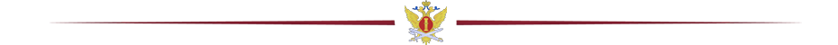ФСИН разделитель.png