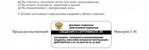 Копия Opredelenie_o_prinyatii_AIZ-2.jpg