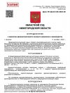 Копия Opredelenie_o_prinyatii_AIZ-1.jpg