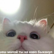 Gloria_Akkerman