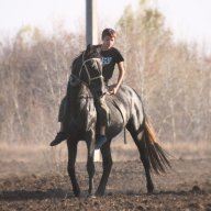 Алексей207968