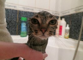 Снежинка