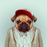 Artem_Lebedev