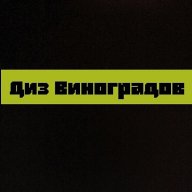 Diz_Vinogradov