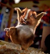 Серёжа Кулаков