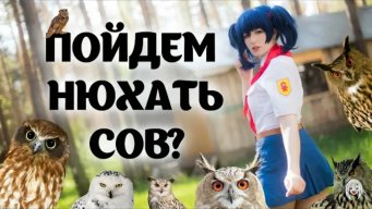 Alex_Devil