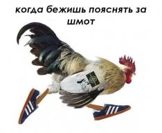 Alexey_Morkovin03
