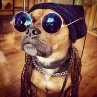 Dmitriy_Dolgalev