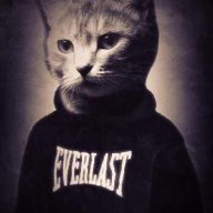 Август_Хокаге