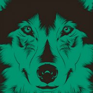 Porter_Bruno