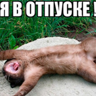 Deimas_Doradyrov