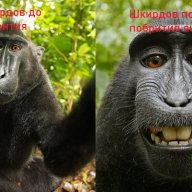 Vsevolod_Kadzuto