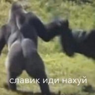 Babaika666