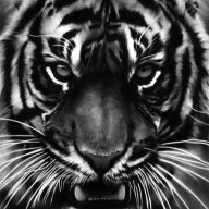 Sam_Ligun