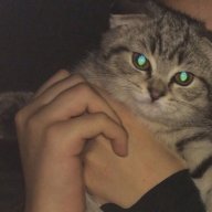 Sergey_Mas