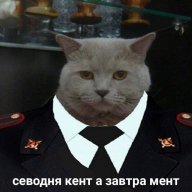 Artem_Rayzer