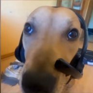 Сергей_Щербаков