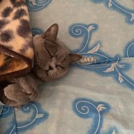 Maksim_Travkin