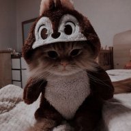 Tima_Batter