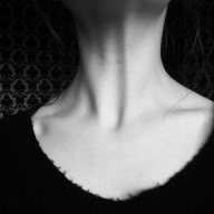 Damir_Ysupov