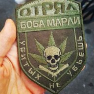 Ilyxa_Extract