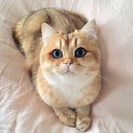 Антон Павлович Чехов :)