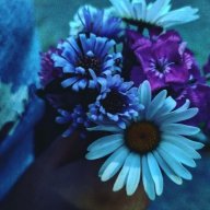 Dashka♥