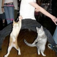 Артем Бонне