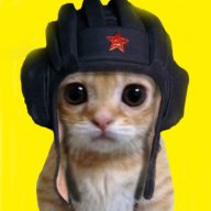 Timurka_Svatov