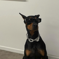 Uzbek_Vinogradovvvvvvvvv