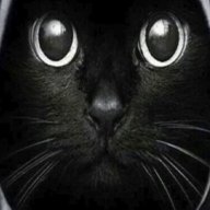 Eutropia_Kenovna