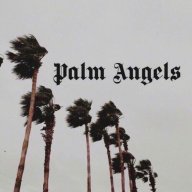 PaIm_Angels