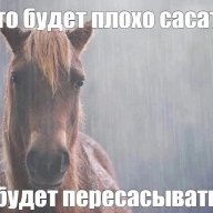 Klim_Pavlovsky