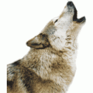 Данила Громов:)